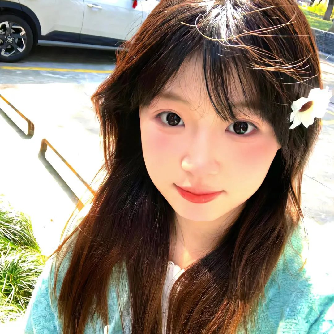 情陷亚维农